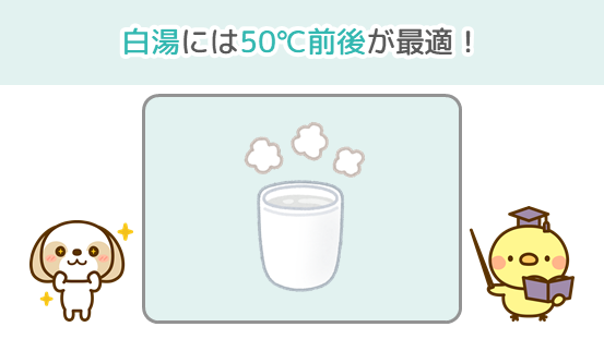 白湯には50℃前後が最適！