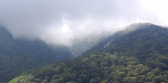 信濃湧水の水源「矢沢水源」